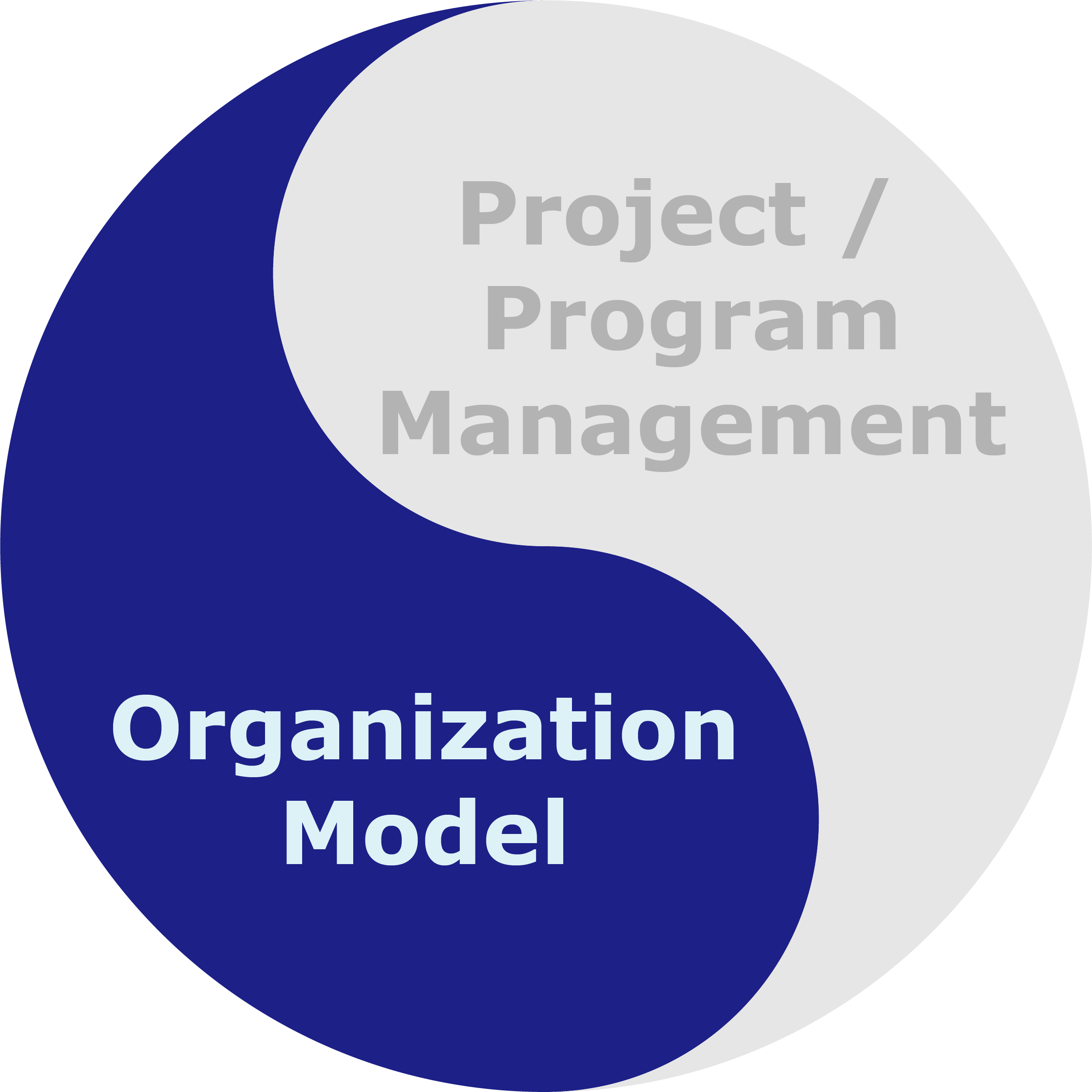 Organization Model